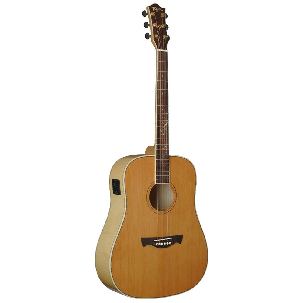 Tagima store acoustic guitar